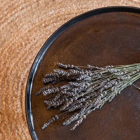 The Calopes Apartment *